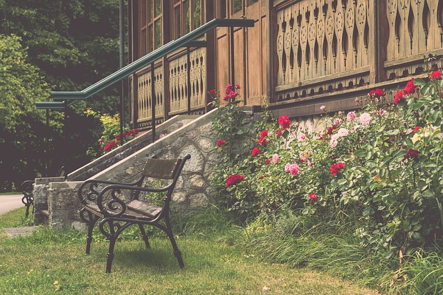 在追逐总冠 在追逐总冠