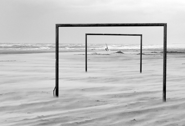 我们或许可 我们或许可