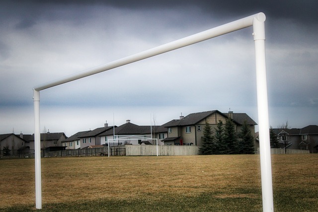 专业解说团 专业解说团